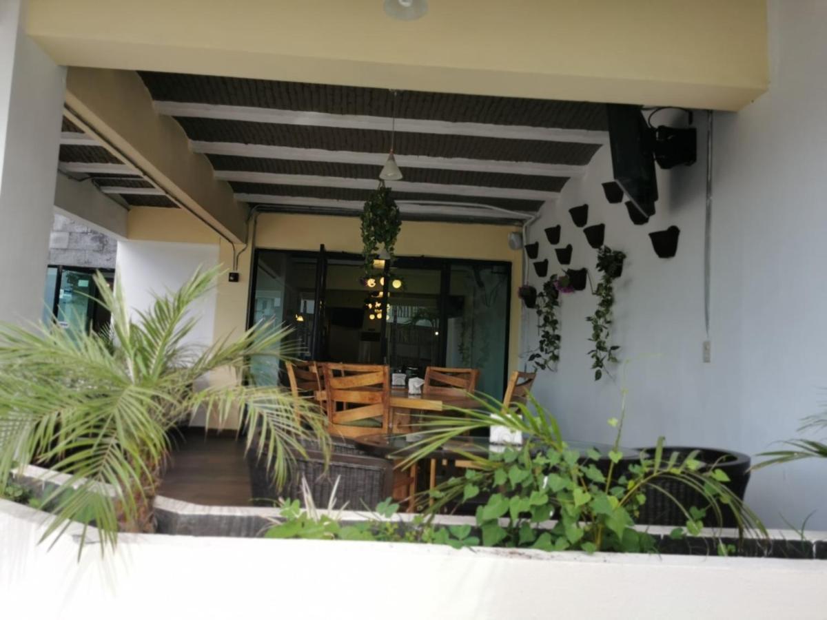 Venados 3* Mazatlán